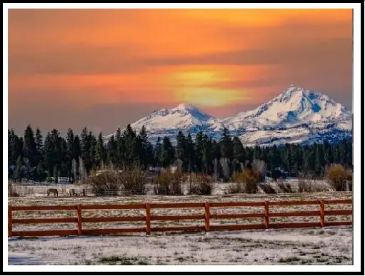 A sunset over the mountains with snow on top of trees.